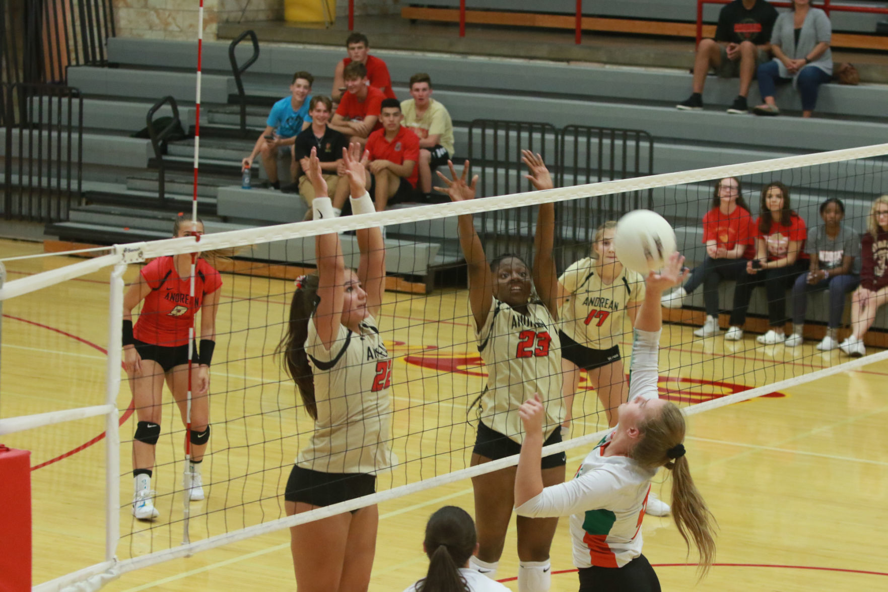 Gallery: Girls volleyball - Wheeler at Andrean